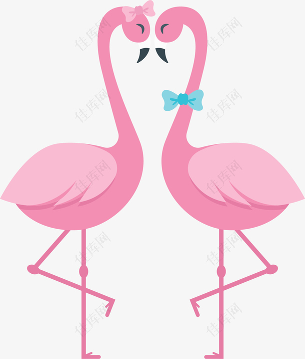 粉红色火烈鸟情侣