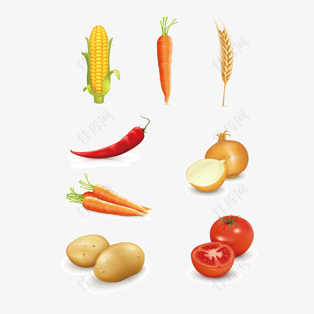 矢量粮食和蔬菜
