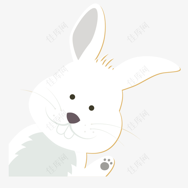 可爱的大白兔