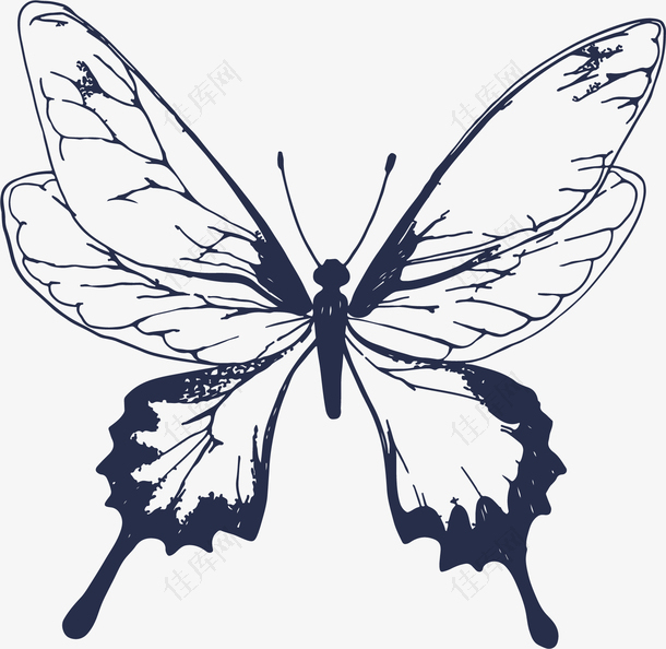 蝴蝶动物昆虫单色黑色