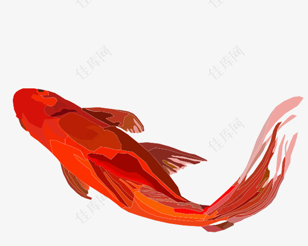 红色鲤鱼中国风
