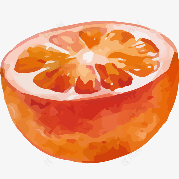 半个橙子水彩插画