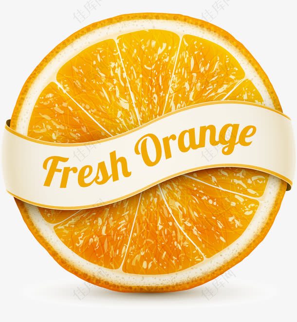 水果橘子矢量图