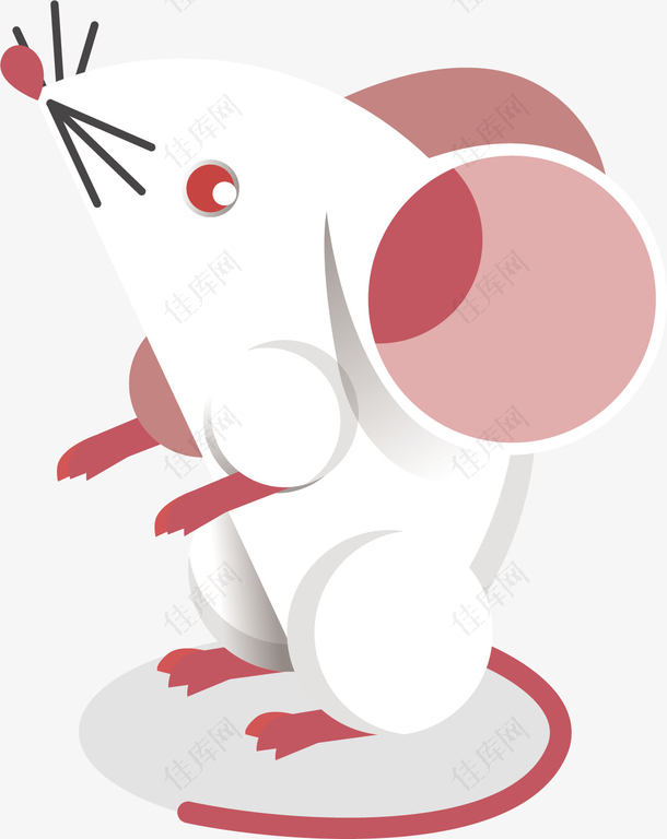 矢量图可爱的小白鼠
