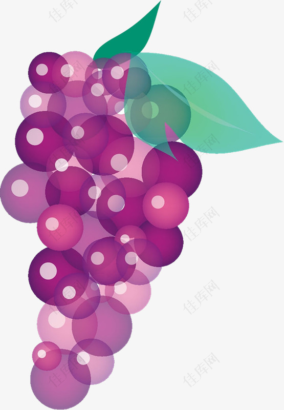 矢量手绘葡萄