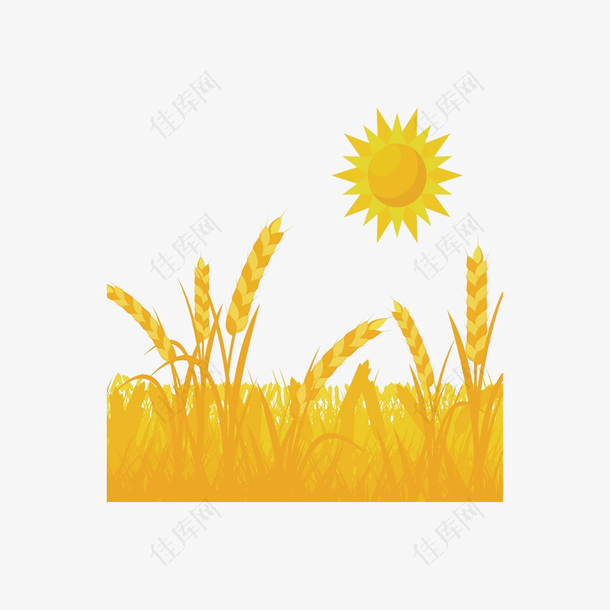 卡通太阳下的金色小麦