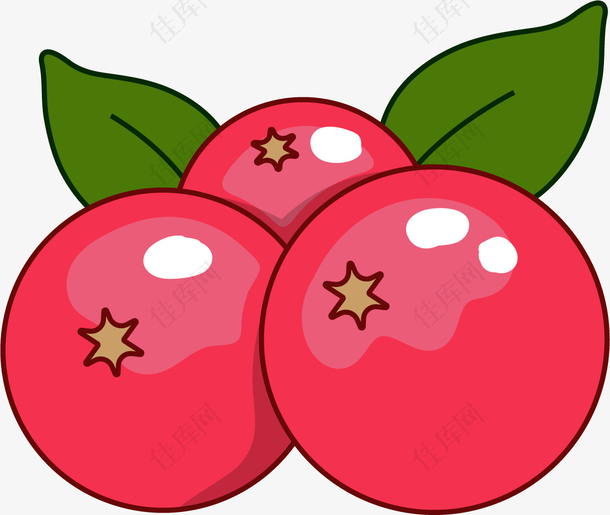 粉红色矢量圆形蔓越莓