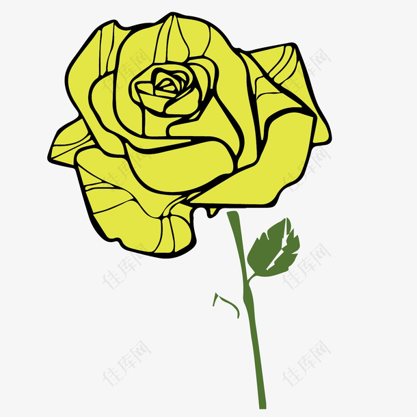 黄色玫瑰花简笔画设计