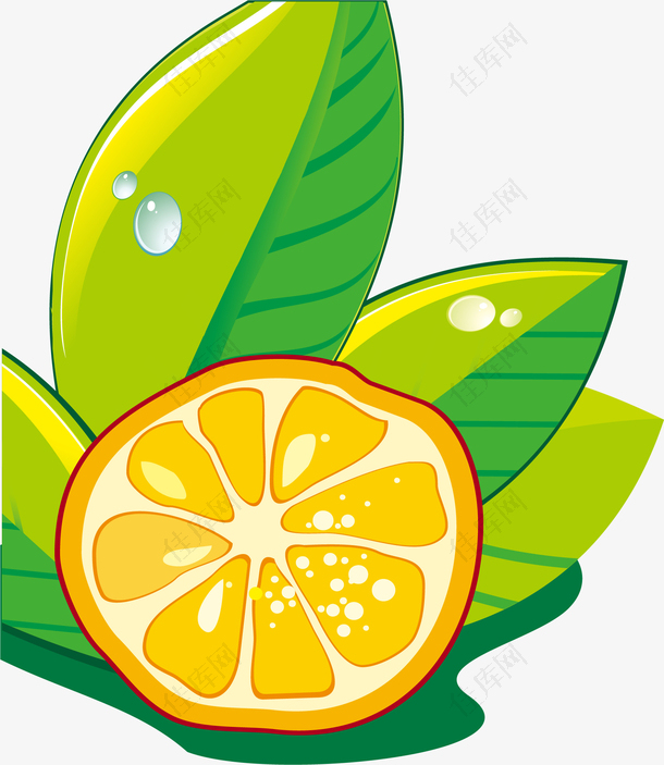 手绘橙子叶子图案
