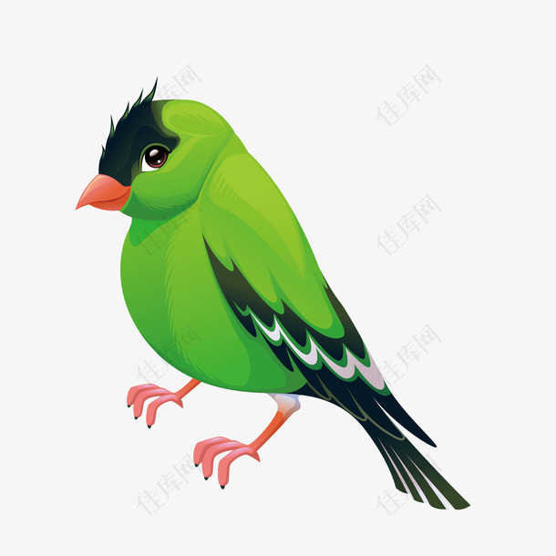 绿色可爱小雏鸟装饰