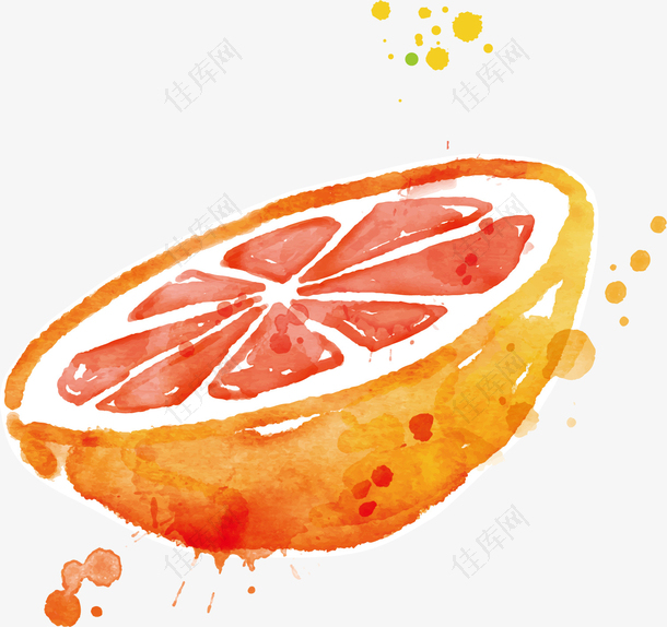 矢量图水彩美味橙子