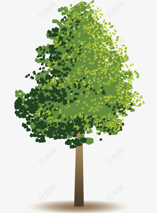 矢量图一颗绿色的树