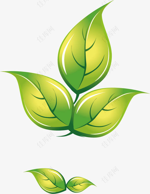 矢量绿色茶叶装饰图案