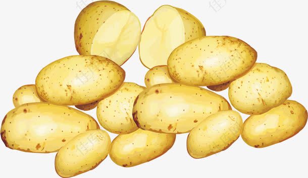 土豆蔬菜PNG矢量素材