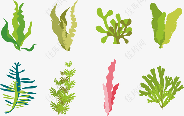 彩绘海底植物合集