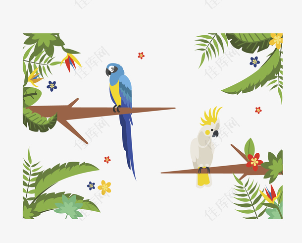 热带雨林彩色鹦鹉