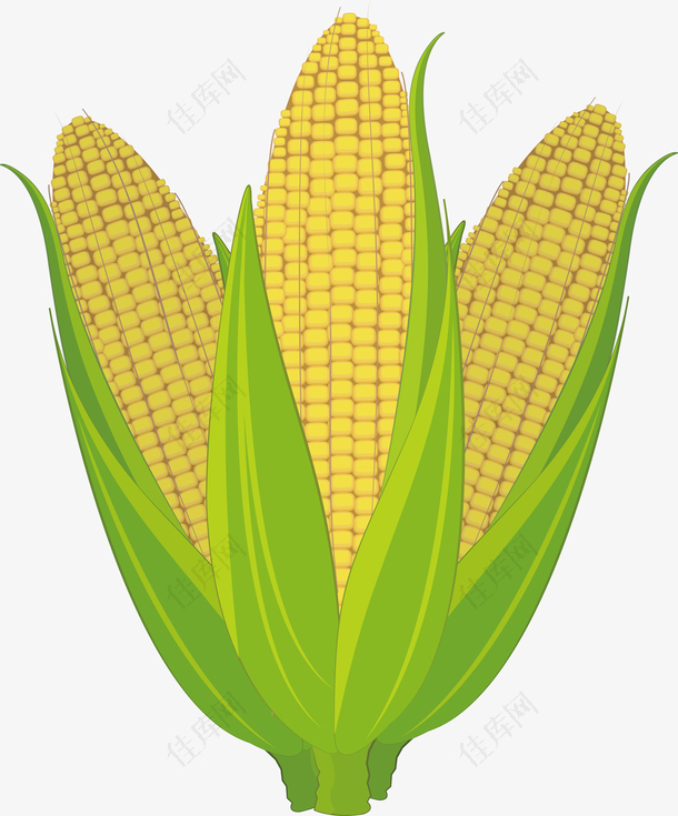 创意玉米农产品logo设计
