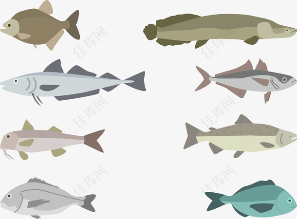 创意插画彩绘深海鱼位图图形矢量