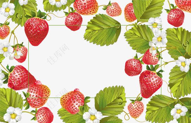 小清新草莓藤广告牌
