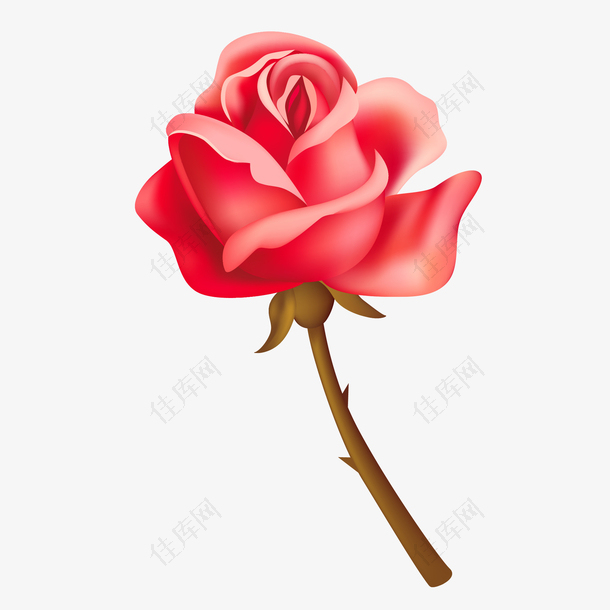矢量手绘一枝红色玫瑰花