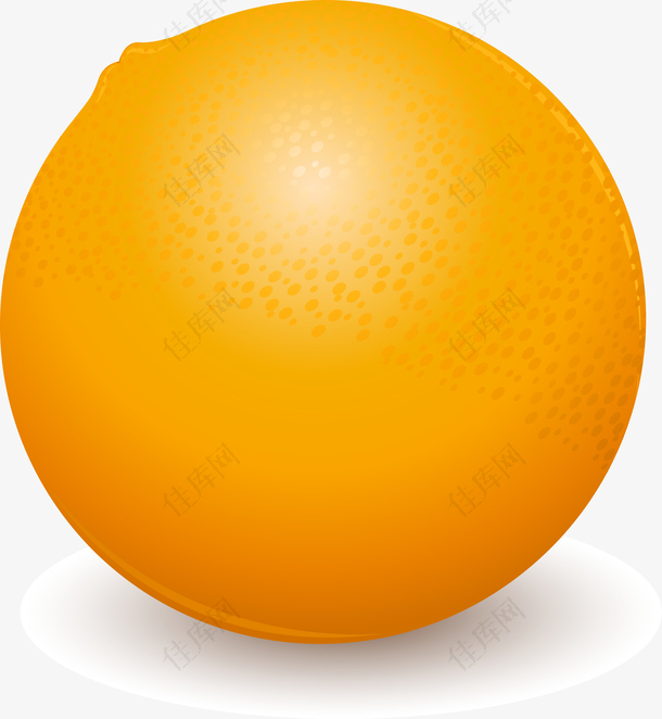 矢量手绘橙子