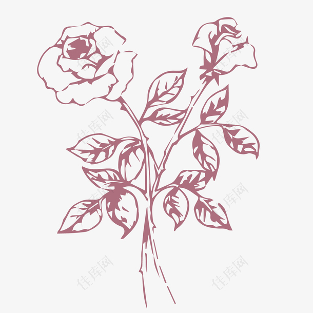 玫瑰花素描设计素材