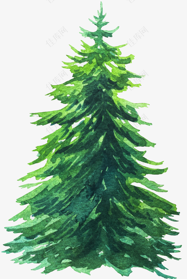 手绘矢量装饰圣诞树