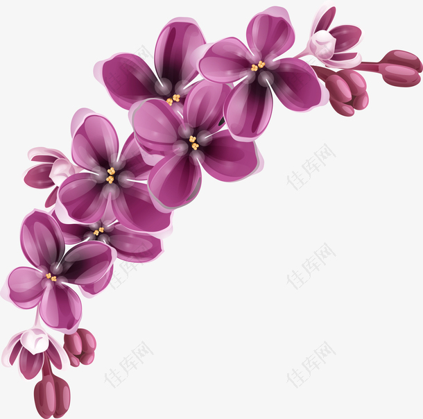 卡通手绘紫罗兰花朵