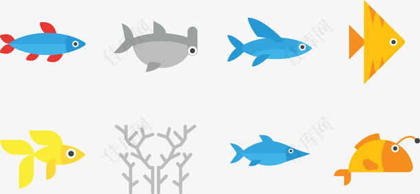 海洋生物鱼类合集