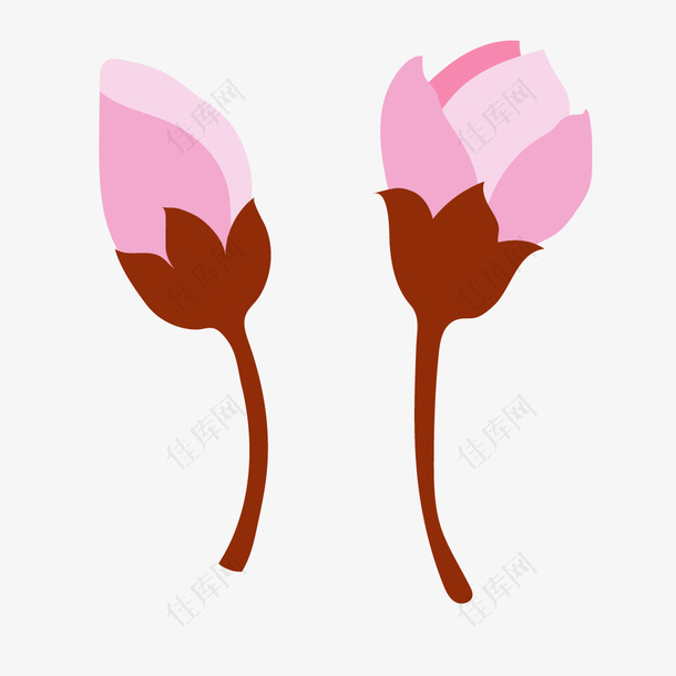粉红色花骨朵春季樱花桃花素材