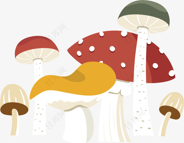 秋季立秋彩色蘑菇