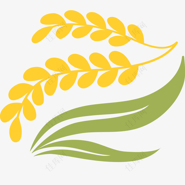 成熟麦子矢量图标插画