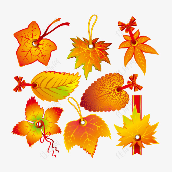 秋天秋叶装饰图案