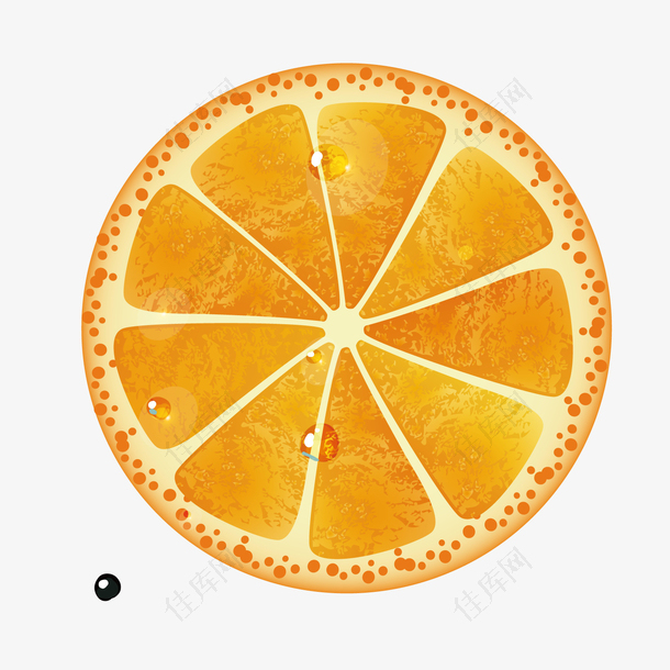 矢量艺术橙子食物