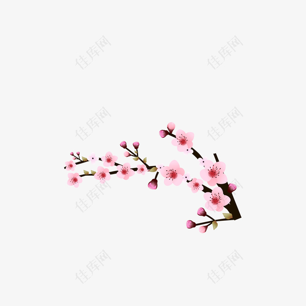 矢量手绘植物粉色梅花