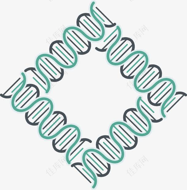 简约方形DNA基因链图形