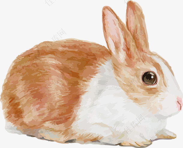 手绘可爱小兔子素材
