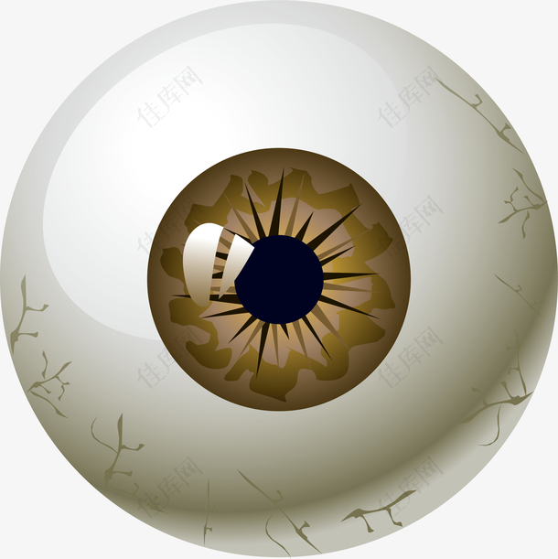 卡通立体眼球棕色眼仁设计元素