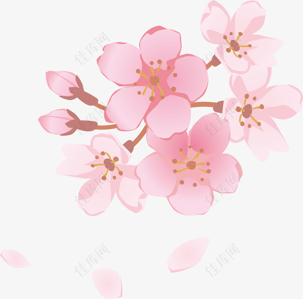 手绘桃花花朵装饰
