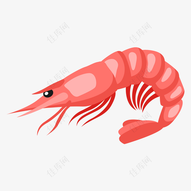 红色的虾