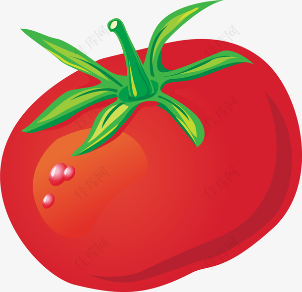 番茄西红柿PNG矢量素材