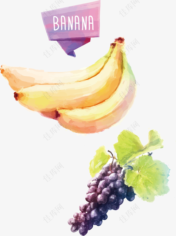 水粉香蕉葡萄
