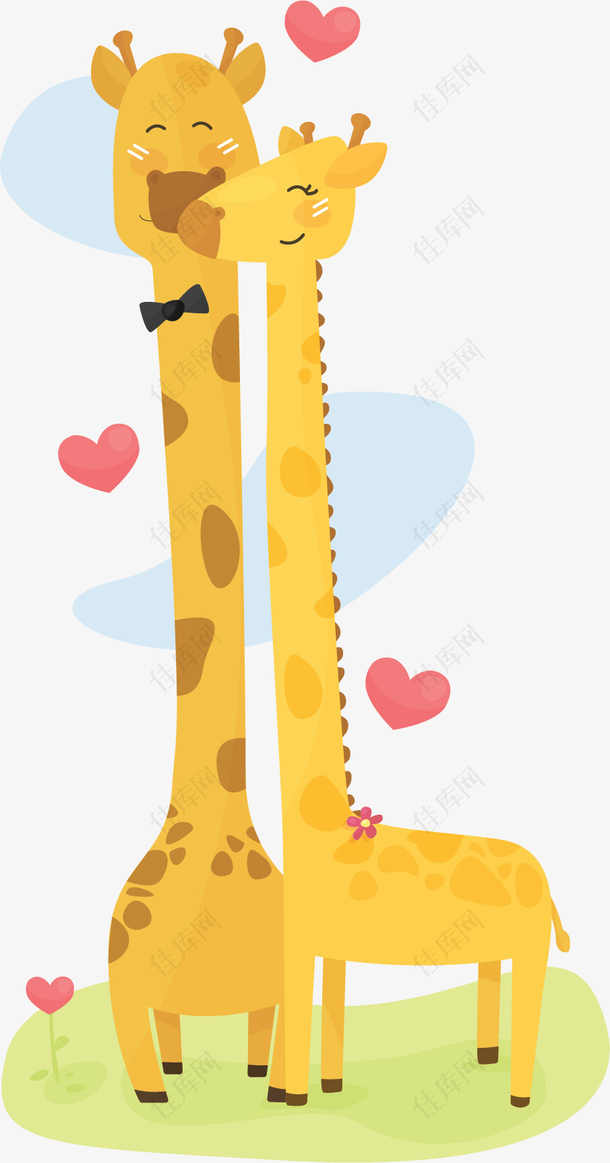爱情热恋长颈鹿情侣