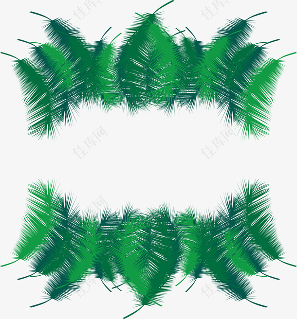 绿色松树叶边框