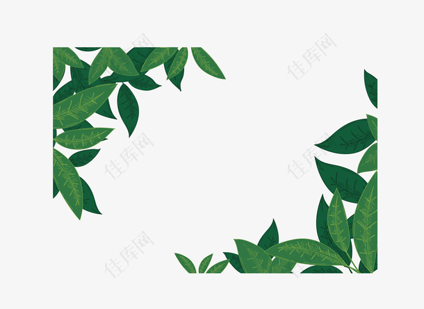 绿色树叶茶叶边框