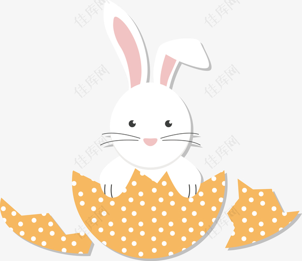 彩蛋里的卡通白兔子