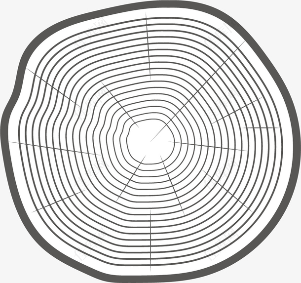 细线描绘的树木年轮
