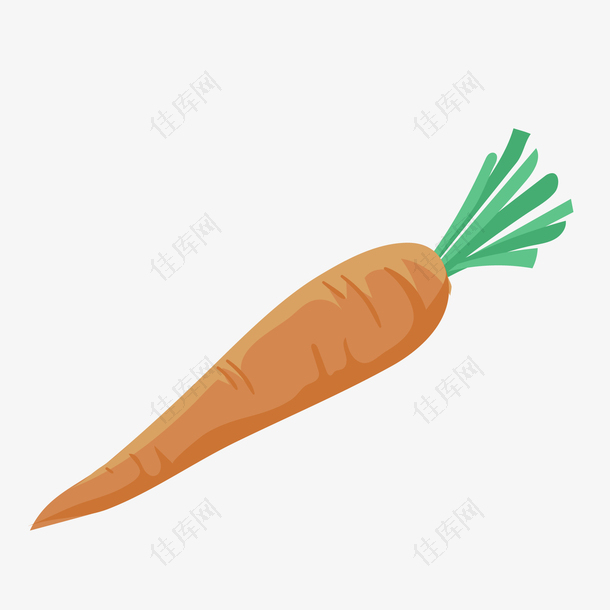 手绘胡萝卜素食设计