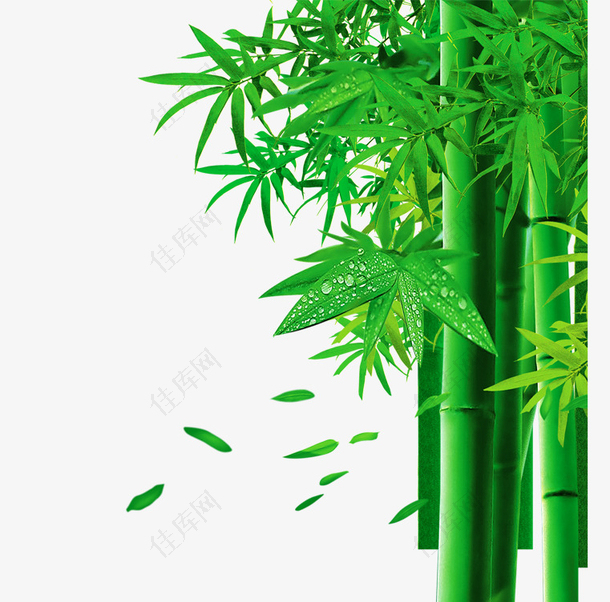 效果元素竹子绿色竹子