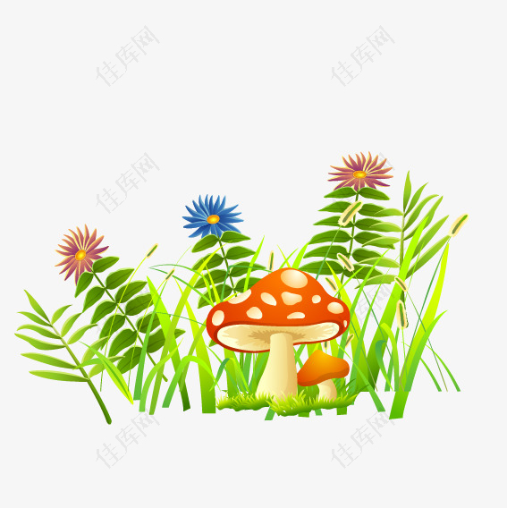 蘑菇和小草